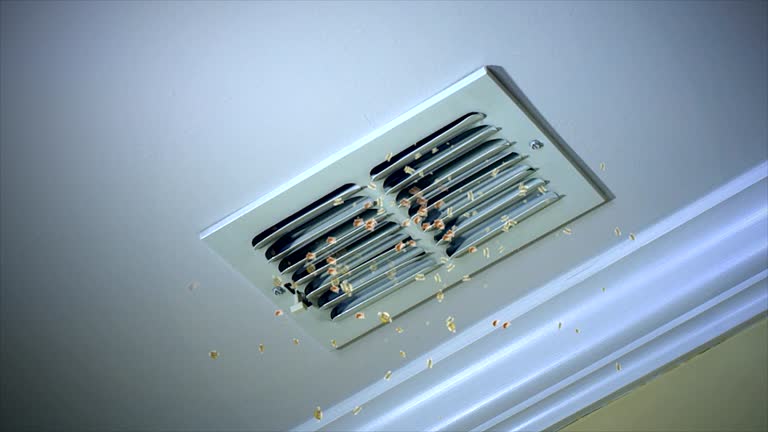 Best Air Duct Cleaning Near Me  in Lake Bryan, TX